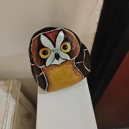 Casa D'arte דירה